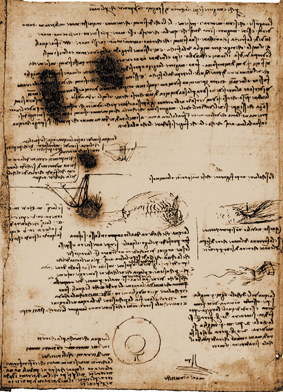 Codice Atlantico, 576b-v. - Foglio con studi sulle acque con intestazione "Perch  maggiore sempre la corrente di Spagna nver ponente che per levante", in cui menziona anche "Arno e Tevere", c. 1492.