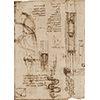 Codice Atlantico, 785b-r. - Studi per il Canale d'Arno, con note su argini e gualchiere, sega ad acqua e mulini, filatoio e alluvione, c. 1503.