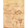 Codice Atlantico, 909v. - Viti brunelleschiane per l'opera di Santa Liberata (Duomo di Firenze) in un progetto di sfondacarene, c. 1487.