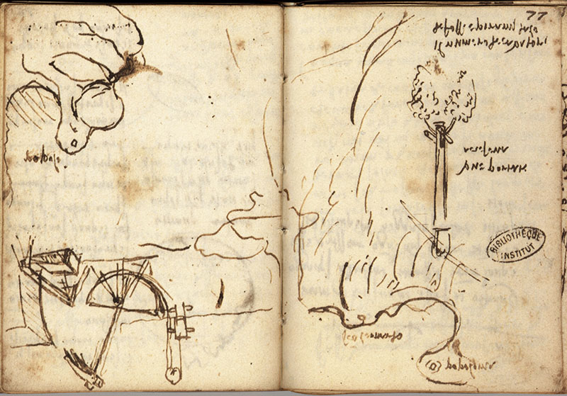 Ms.  L, 77r-76v (capovolto). - Litorale di "Populonia" e "Santo Leonardo" con promemoria delle "uve portate a Cesena", c. 1502.