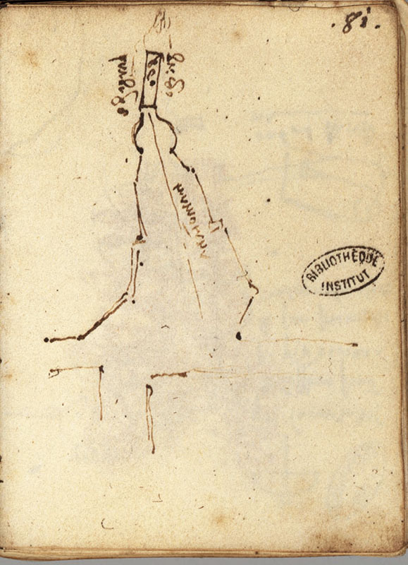Ms.  L, 81r. - Marshlands of Piombino, c. 1502.