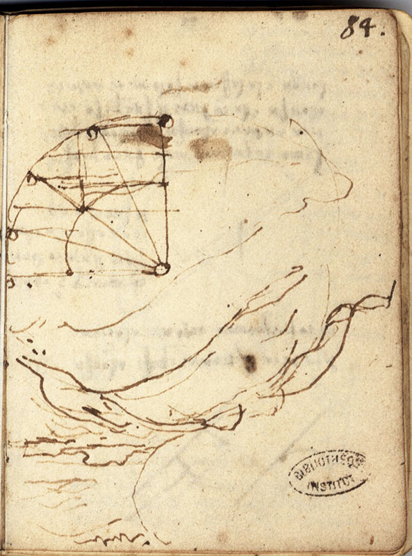 Ms.  L, 84r. - Palude di Piombino, c. 1502.