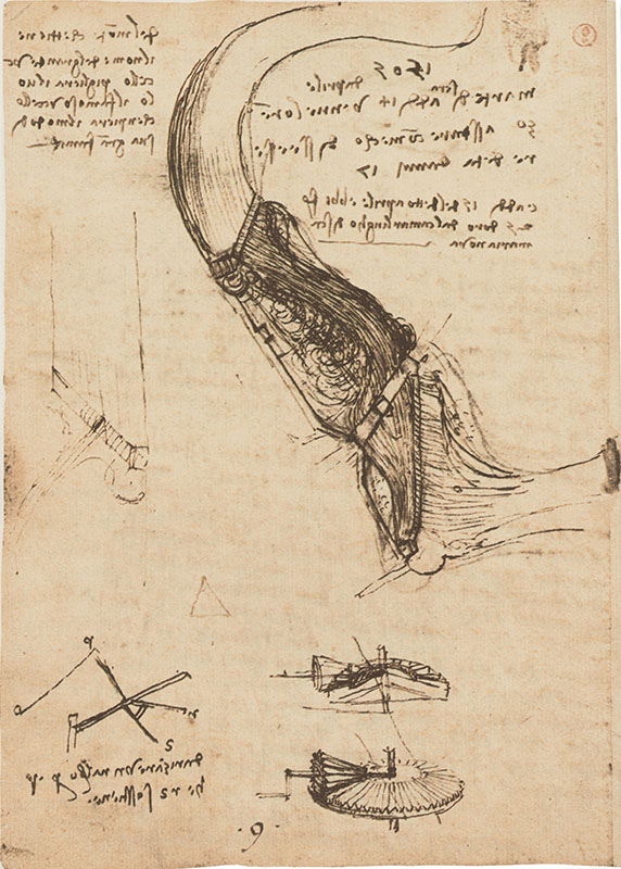 Codice sul volo degli uccelli, 18v. - Foglio con studio idrografico presso Firenze, note di vita quotidiana e prima formulazione della profezia del volo da Monte Ceceri: "1505 marted sera add 14 d'aprile venne Lorenzo a stare con meco disse essere d'et d'anni 17. E add 15 del detto aprile ebbi fiorini 25 d'oro dal camarlingo di sancta Maria Nova. Del monte che tiene il nome del grande uccello piglier il volo il famoso uccello ch'empier il mondo di sua gran fama", c. 1505.