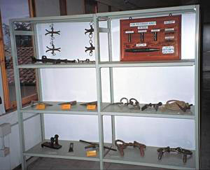 Instruments, University of Florence Department of Science and Environmental Technologies - Forestry collection.