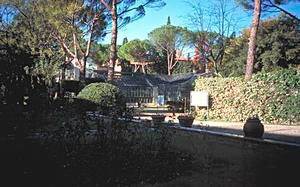 Il Giardino Tropicale dell'Istituto Agronomico per l'Oltremare, Firenze.