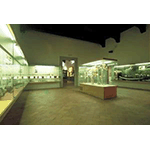 Overall view of the first room in the Florentine Museum of Prehistory "Paolo Grazosi", Florence.