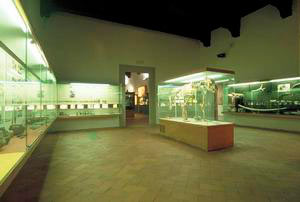 Veduta d'insieme della prima sala del Museo Fiorentino di Preistoria "Paolo Graziosi", Firenze.
