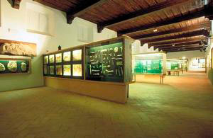 Overall view of the second room in the Florentine Museum of Prehistory "Paolo Grazosi", Florence.