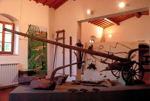 Plough, Museum of Rural Life "Casa del Guidi", Sesto Fiorentino.