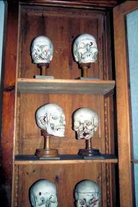 Skulls of persons who died of cranial wounds, late 19th century, the Military Centre of Forensic Medicine, Florence.