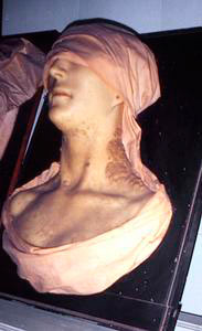Anatomical wax model, Museum of Pathological Anatomy, University of Florence.