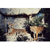 Diorama with a pair of Siberian tigers, Zoological Civic Museum - Villa Baciocchi, Capannoli.