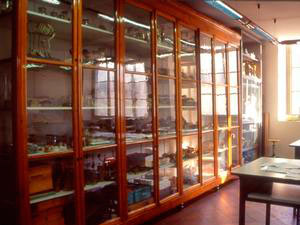 Overall view of the scientific collections, Liceo Socio-psico-pedagogico e Liceo delle Scienze Sociali "Luisa Amalia Paladini", Lucca.