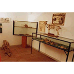 Veduta d'insieme, Raccolta Archeologica di Borgo a Mozzano.