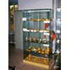 Collezione di modelli di frutta e funghi, Orto Botanico Comunale di Lucca - Museo Botanico "Cesare Bicchi".