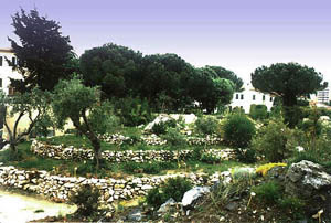 View of the Botanical Garden, Museum of Natural History of the Mediterranean, Livorno.