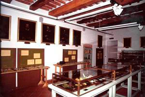 Overall view of the collections, Botanical Museum of the University of Pisa.