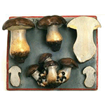 Models of fungi from the Valenti-Senni Collection, c. 1860, Natural History Museum of the Academy of the Fisiocritici, Siena.
