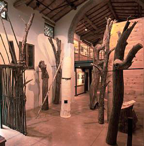 Interior of the the Woodland Museum, Orgia, Sovicille.