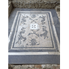 Il mosaico a tessere bianche e nere dell'impianto termale della mansio ai piedi della Villa romana di Massaciuccoli, Massarosa.