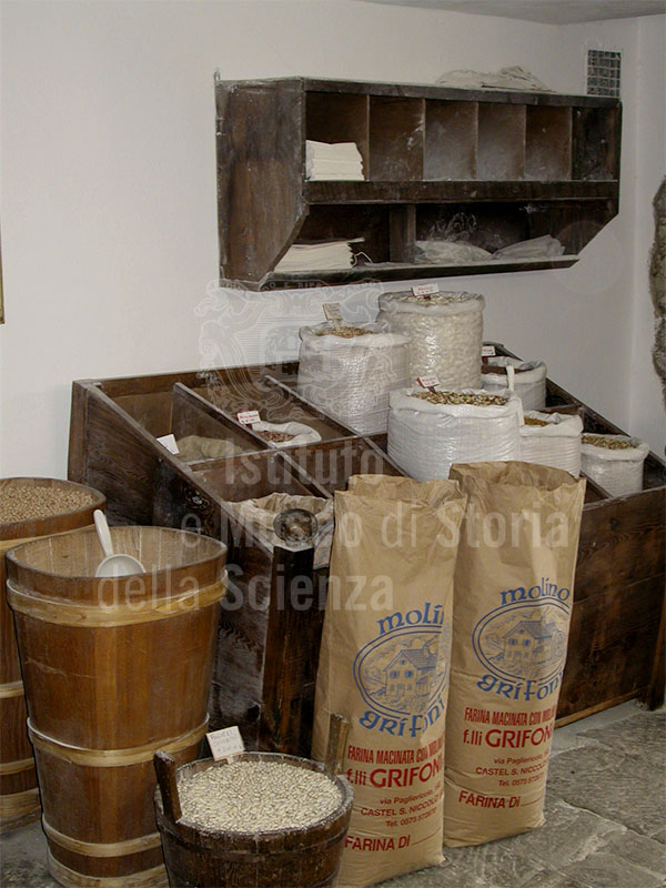 Collection of sowing seeds, Grifoni Mill, Castel San Niccol.