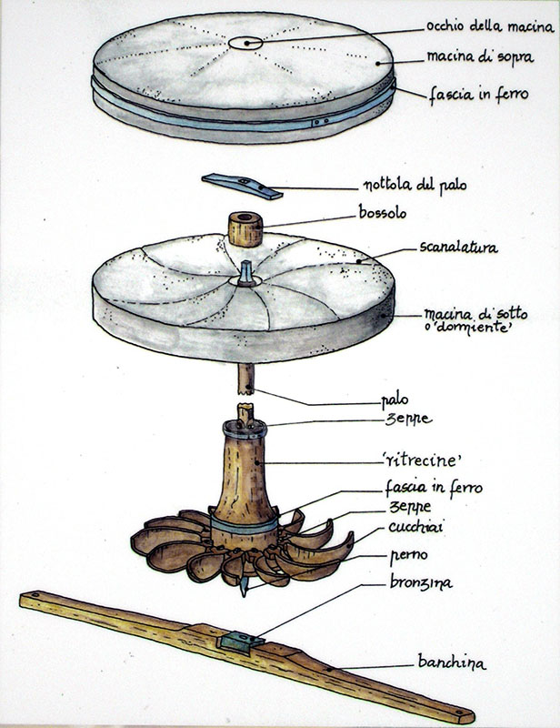 Diagram reconstructing the system of millstones of the Grifoni Mill, Castel San Niccol.