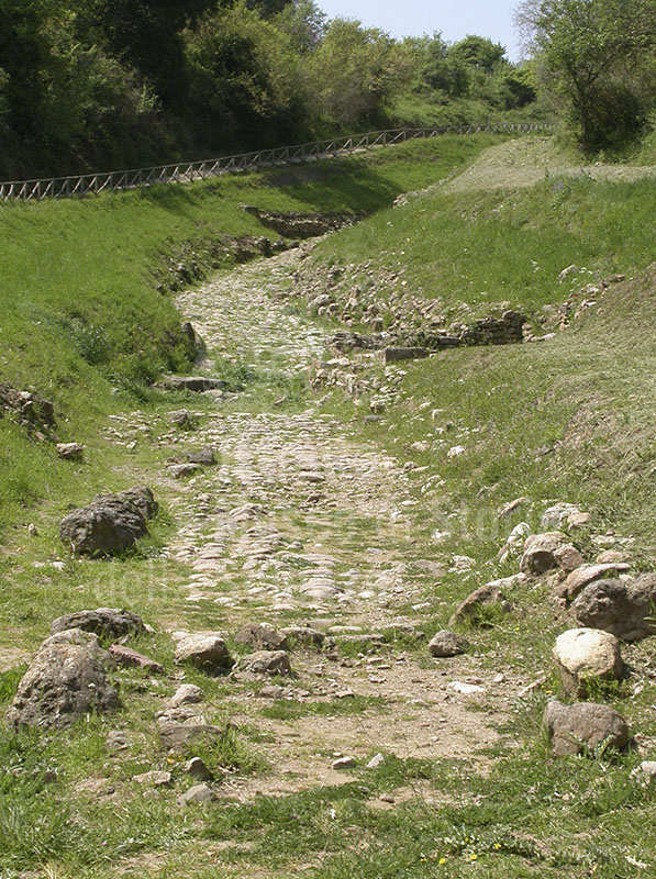 Strada romana a grossi ciottoli fluviali (via glareata), Roselle.