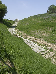 Strada romana a grossi  blocchi poligonali irregolari (via silicata), Roselle.