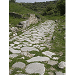 Roman road made of large irregular polygonal blocks (via silicata), Roselle.