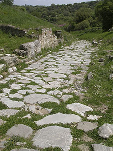 Roman road made of large irregular polygonal blocks (via silicata), Roselle.