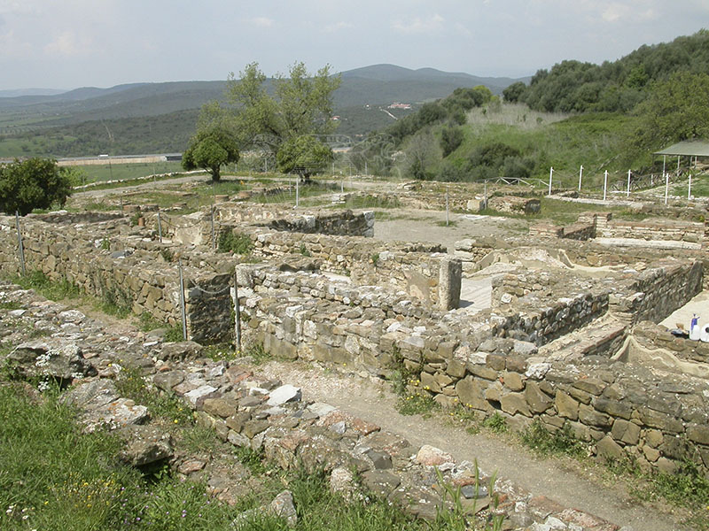 View of the remains of the Casa dei Mosaici at Roselle.