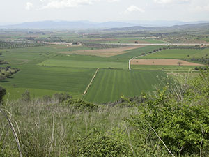 Veduta della piana che si estende ai piedi della collina di Roselle, in epoca antica coperta dalle acque del Lago Prile.
