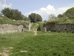 Roman amphitheatre at Roselle