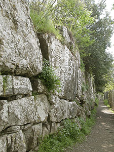 A section of the belt of walls around Roselle.