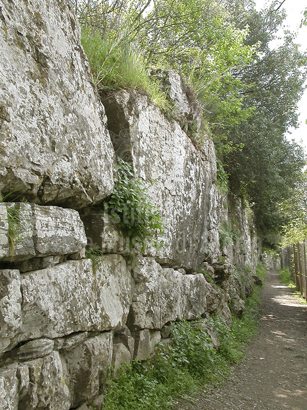 A section of the belt of walls around Roselle.