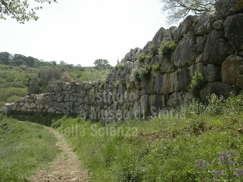 Un tratto delle mura etrusche di Roselle.
