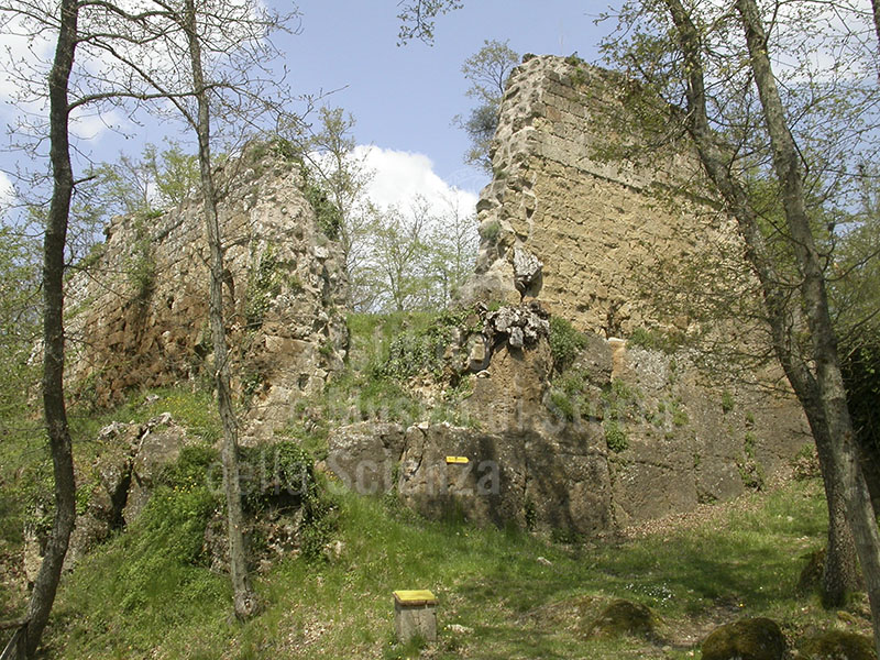 Ruins of the Castello di Vitozza.