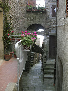 Narrow lane in the medieval town of Giglio Castello.
