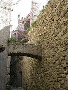 Tratto della cinta muraria di Giglio Castello.