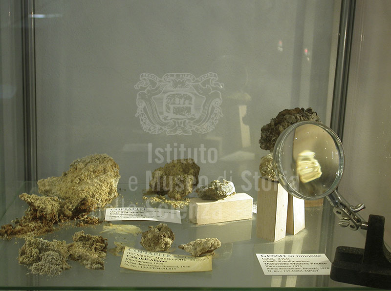 Copiapite and gesso on limonite, Museo della Mineralogia e della Geologia dell'Isola del Giglio.