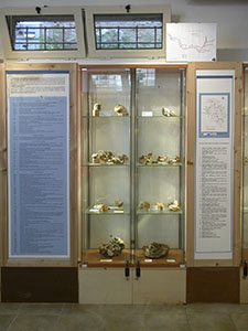Samples of minerals in the Museo della Mineralogia e della Geologia dell'Isola del Giglio.