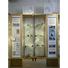 Campioni di minerali del Museo della Mineralogia e della Geologia dell'Isola del Giglio.