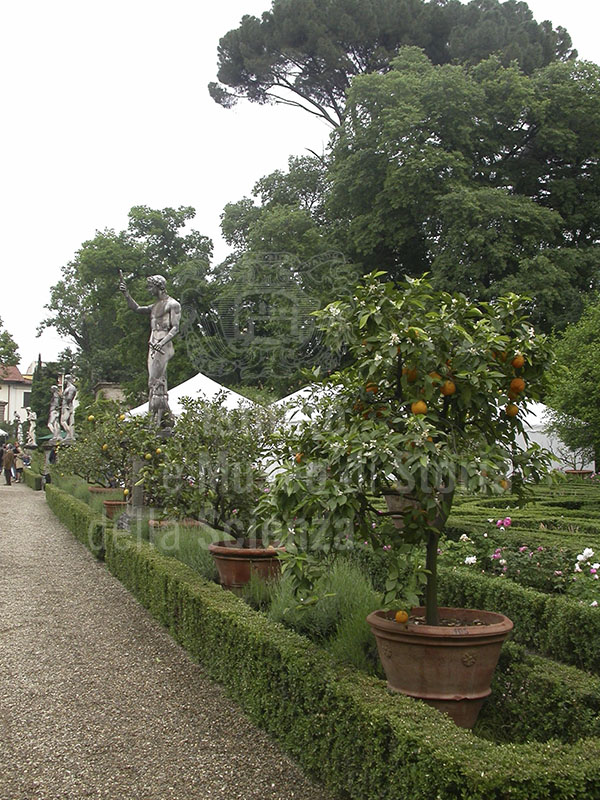 Avenue lined with statues in the garden of Palazzo Corsini al Prato, Florence.