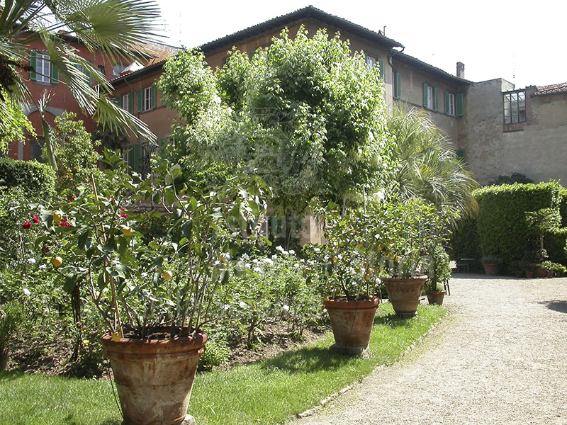 Garden of Palazzo Budini Gattai, Florence.