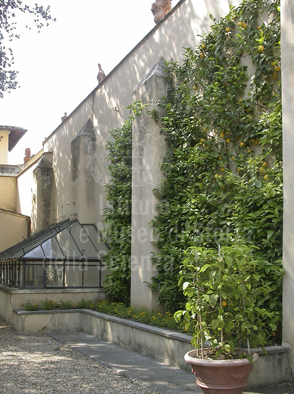 Muro di confine del giardino di Palazzo Vivarelli Colonna, Firenze.