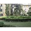 Parterre di bosso, giardino Corsi Annalena, Firenze.
