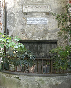 Fountain of Aonia Aganippe, garden of Palazzo Guicciardini, Florence.