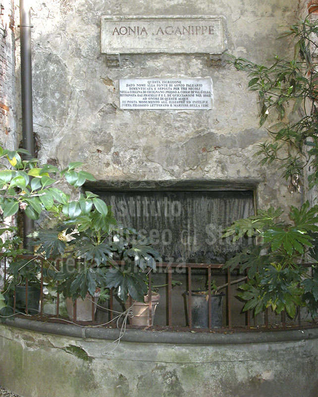 Fonte  Aonia Aganippe, giardino di Palazzo Guicciardini, Firenze.
