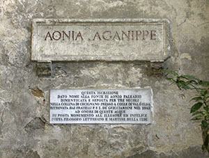 Iscrizione e targa apposta alla fonte  Aonia Aganippe, giardino di Palazzo Guicciardini, Firenze.