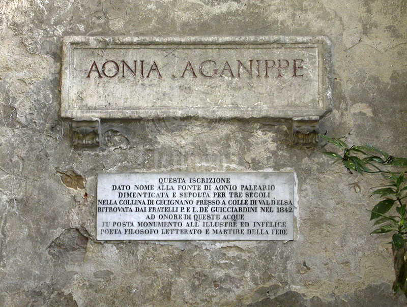 Inscription and tablet on the Aonia Aganippe spring, garden of Palazzo Guicciardini, Florence.